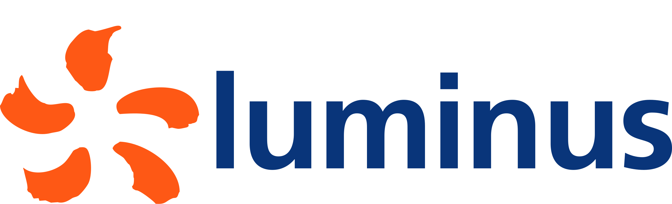 Winstuitjewoning Logo